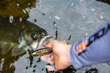 Berkley PowerBait Drip Swimmer 5in Lure
