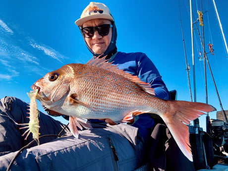 Barambah Stinger Shrimp 125HD