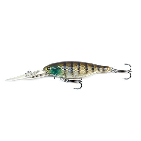 Barambah Boondi Bros 62 DSS