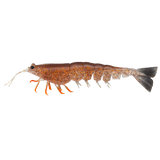 Irukandji Megaprawn 210mm 58.5g Unrigged 2pc