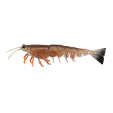 Irukandji Megaprawn 80mm 5g Unrigged 3pc