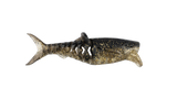 Rapala Crush City Infiltrator 5in Plastics