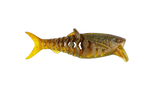 Rapala Crush City Infiltrator 5in Plastics