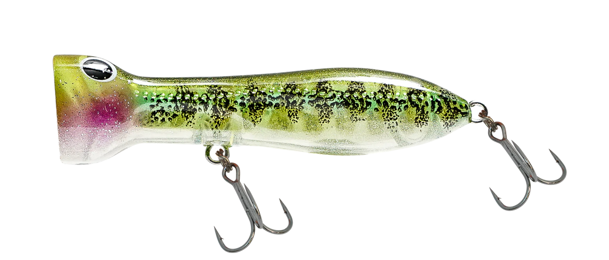 Nomad Chug Norris Popper 50mm