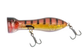 Nomad Chug Norris Popper 72mm