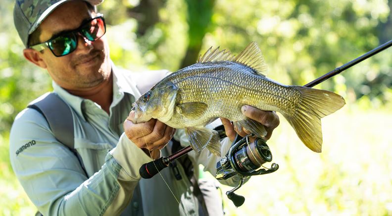 Shimano Artiesta Rods