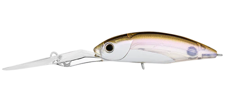 Daiwa Infeet Spike 53EXDR Lure