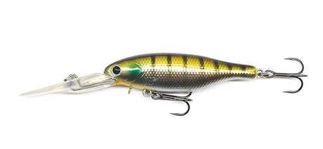 Barambah Boondi Bros 62 DSS