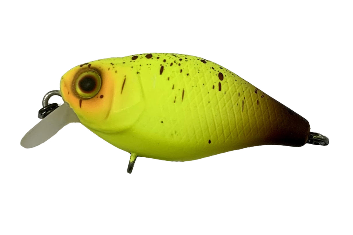 Jackall Chubby 38F Shallow