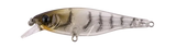 Berkley Pro-Tech Bazz Bait 80mm Shallow