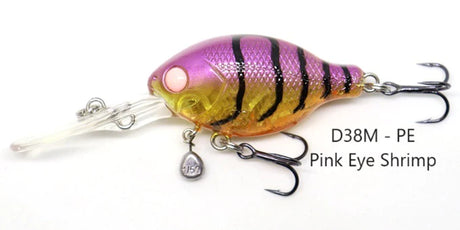 Barambah Deton8or 48M Hardbody