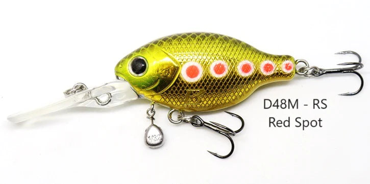 Barambah Deton8or 48M Hardbody