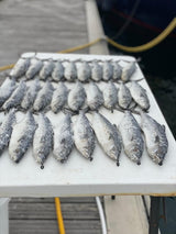 Turner Tackle Ringer Swivels Size 5 Qty 5