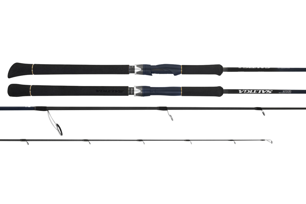 Daiwa 25 Saltiga Long Cast Rods