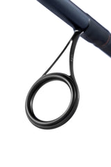 Daiwa 24 TD HTS Spinning Rod