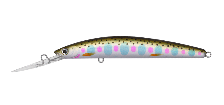 Rainbow Trout