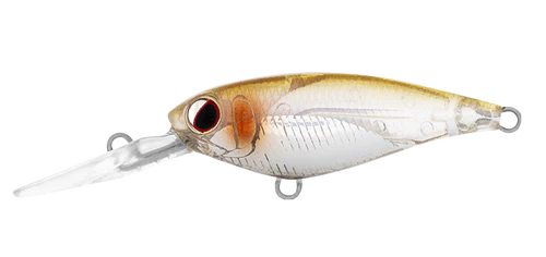 Daiwa Infeet Kodachi 40SF Lure