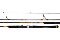 Daiwa 23 Seabass Shore Casting Rod Range
