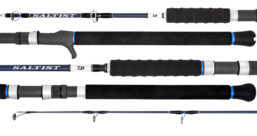 Daiwa Saltist Hyper Rod