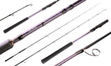 Fishlogica Icon Spin Rod