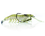 Col 04 Green Prawn