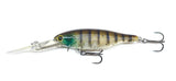 Barambah Boondi Bros 62 DSS