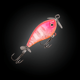 Fishcraft Fizz Bug 38