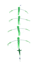 Black Pete 9in Slap Happy Daisy Chain Teaser