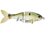 Bucca Trick Shad 6in Lure