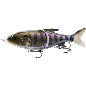 Swimbait/Glidebait