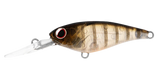 Daiwa Infeet Kodachi 40SF Lure