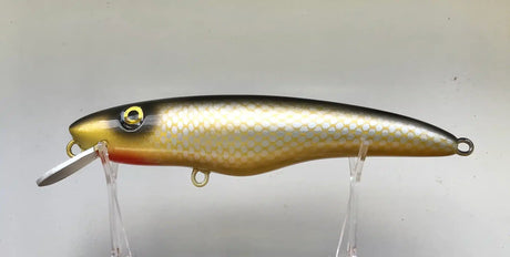 Croaker Jewie Jewel Hardbody