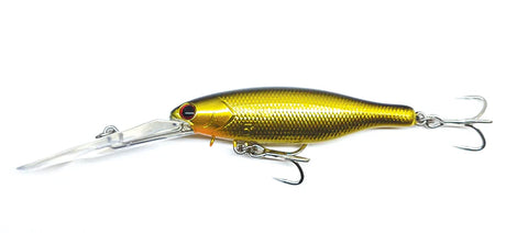 Barambah Boondi Bros 82 DSS