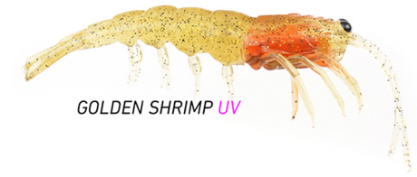 Prolure Clone Prawn 62mm Plastics