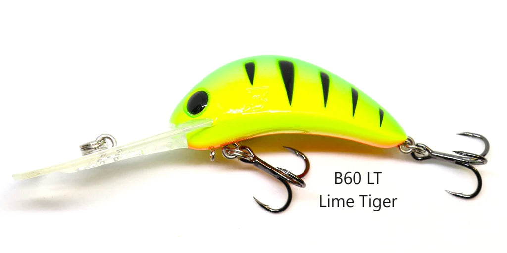 Barambah B60 Diver Hardbody