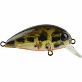 Atomic Hardz 38mm Crank Mid Diver Lure