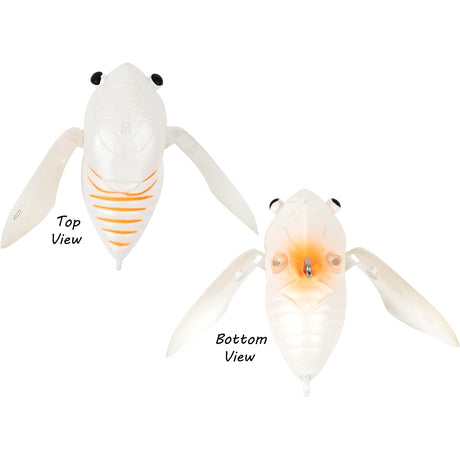 Atomic Hardz 35mm Cicada Lure