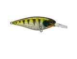 Jackall Super Squirrel 79 Flat SP Lure