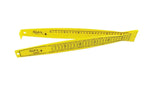 Icatch Fish Rulers