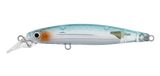 Daiwa Infeet Sazanami 60SP Lure