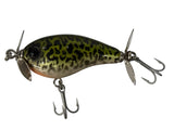 Jollip Lures Arancini Fizzer 55mm