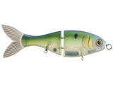 Bucca Trick Shad 6in Lure