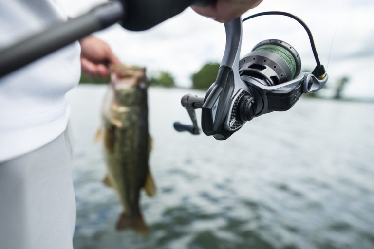 Abu Garcia Revo 3 SX Spin Reels