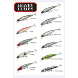 Leavey Lures 160mm Jewfish Hardbody
