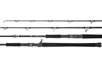 Daiwa 25 Leobritz DG Electric Fishing Rod