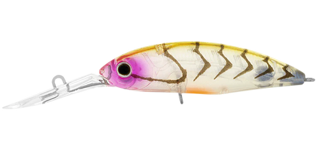 Daiwa Infeet Spike 53SP Lure