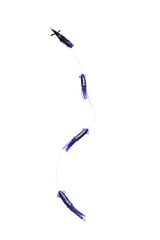 Black Pete Mouldcraft Daisy Chain STD Bird With 3 x 9in Squid