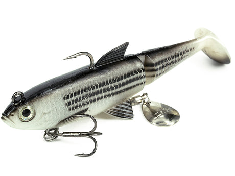 Molix Shad 100mm Rigged Plastic