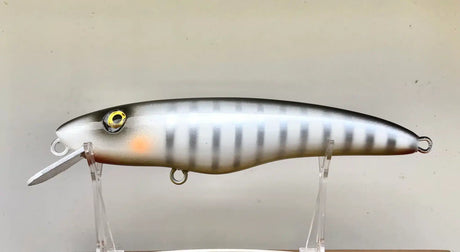 Croaker Jewie Jewel Hardbody