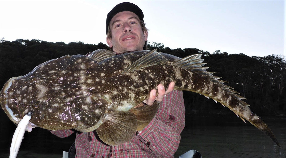 Millerods SwimSpin 782